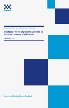 Link to Strategic review of policing violence in Scotland - terms of reference